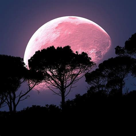 pleine lune ciel rose